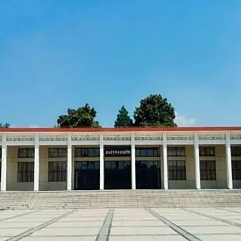 The Palace Museum