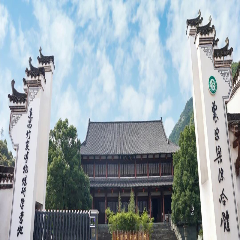 The Palace Museum