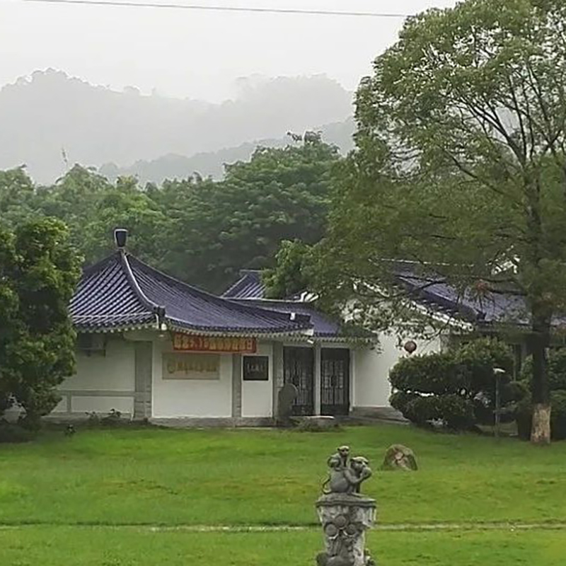 The Palace Museum