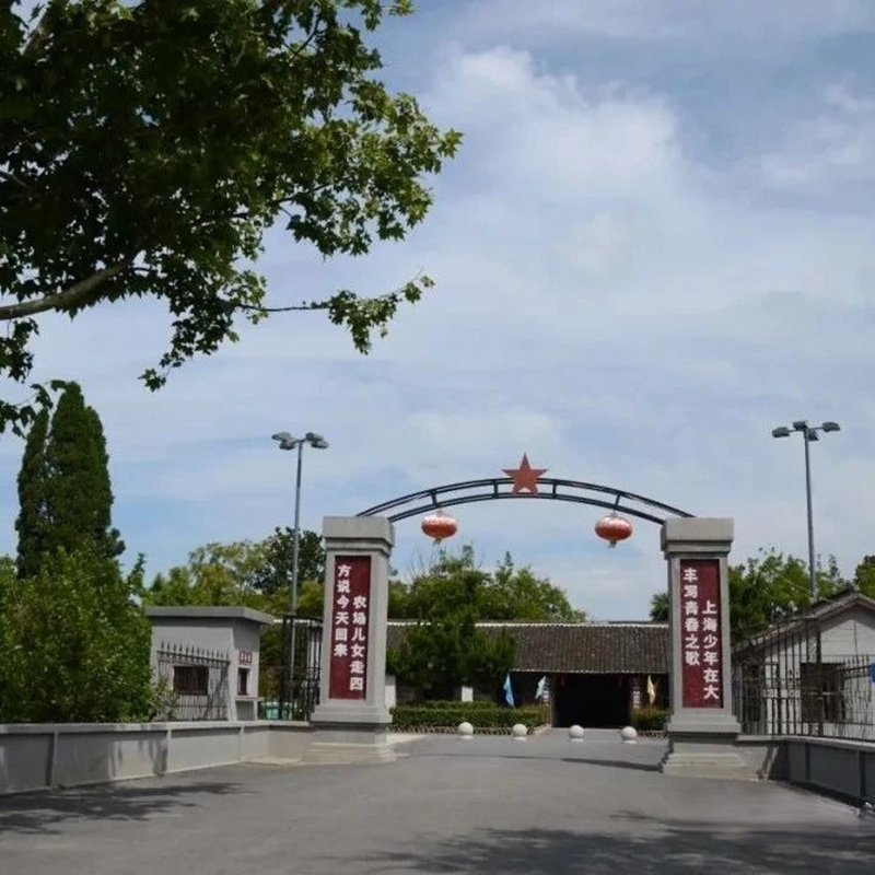 The Palace Museum