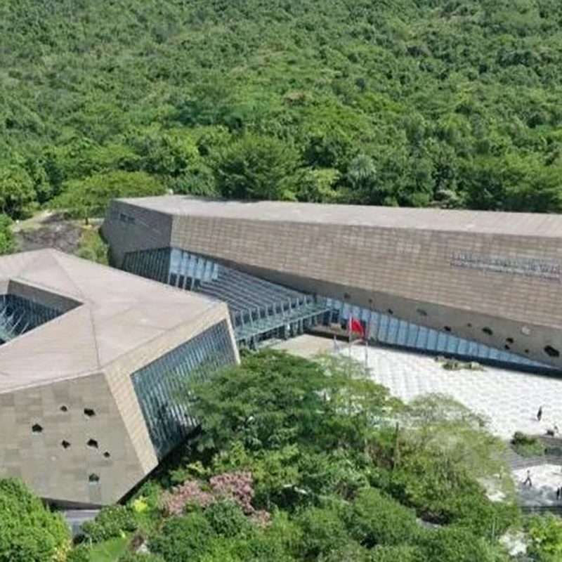 The Palace Museum