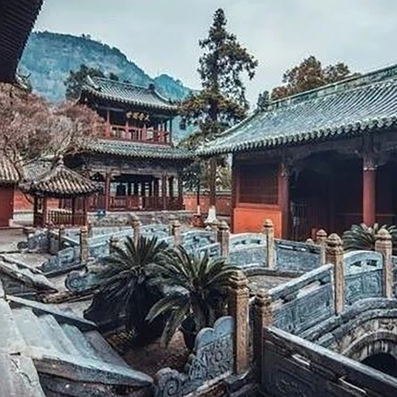 The Palace Museum