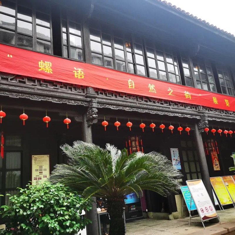 The Palace Museum