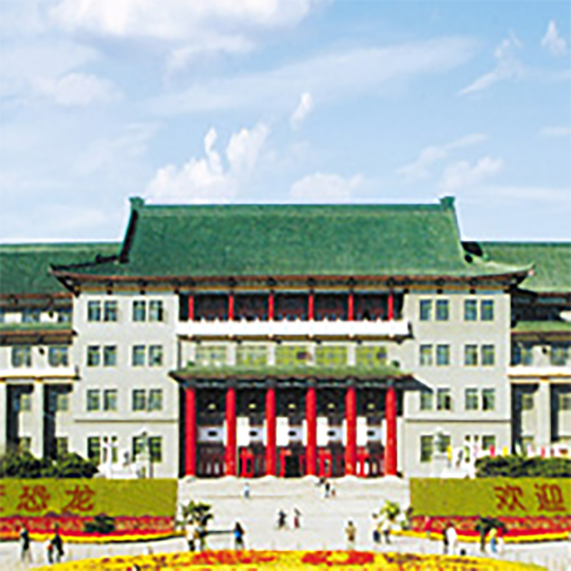 The Palace Museum