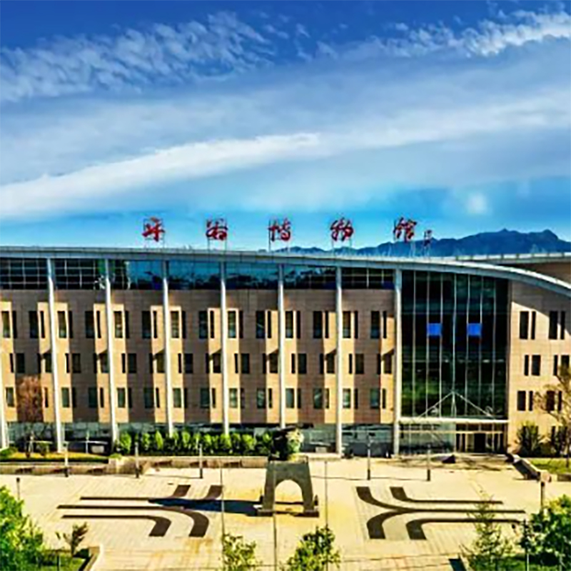 The Palace Museum