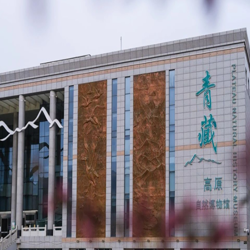 The Palace Museum