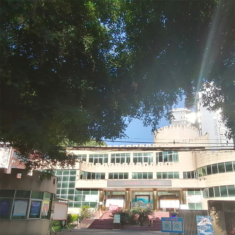 The Palace Museum