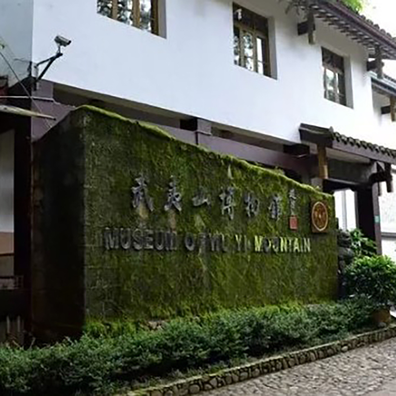 The Palace Museum
