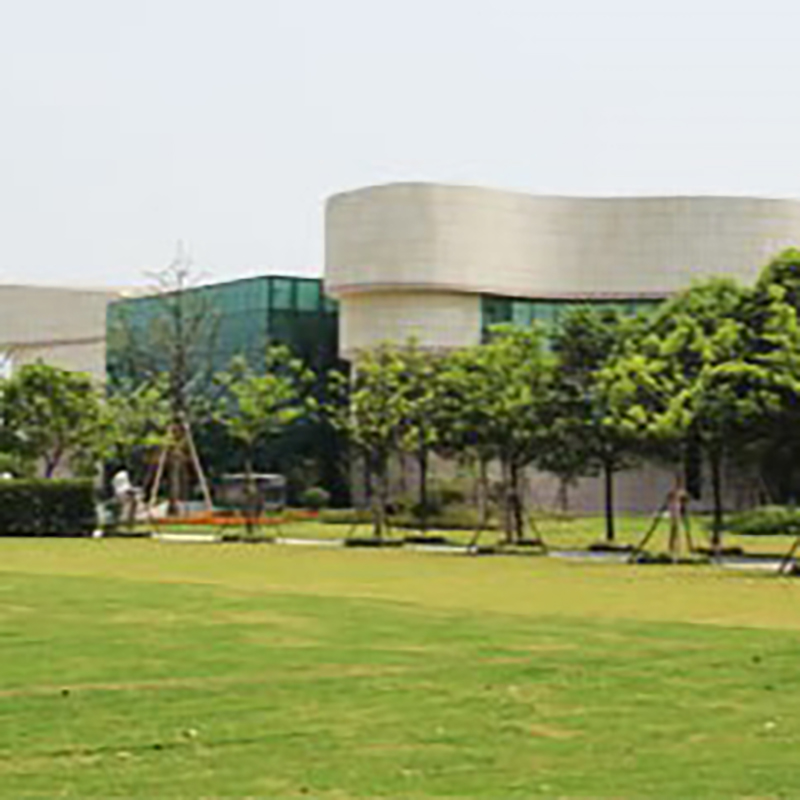 The Palace Museum