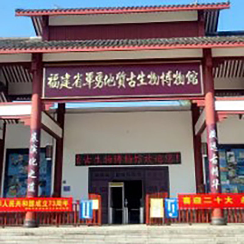 The Palace Museum