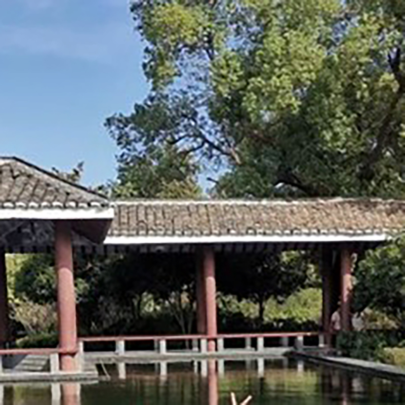The Palace Museum
