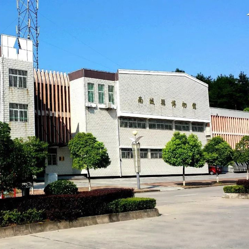 The Palace Museum