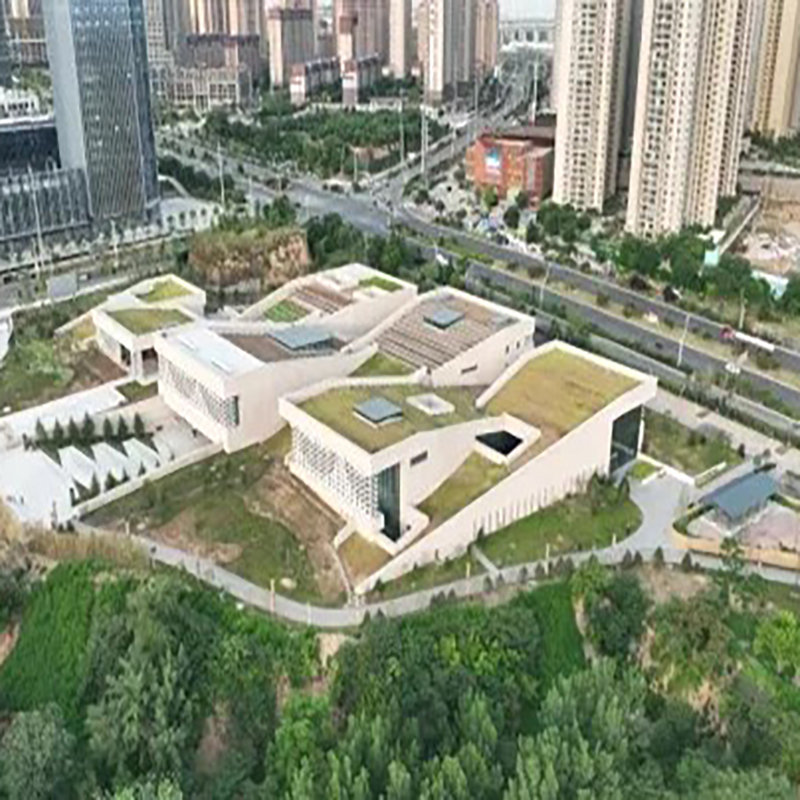 The Palace Museum